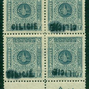 1919 Ottoman 2pi Postage Due INVERTED hs