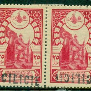 1919 Ottoman 25pi INVERTED hs