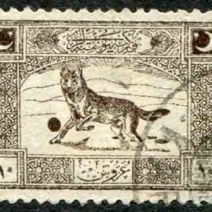 1922 Turkey 10k Grey Wolf Used Error