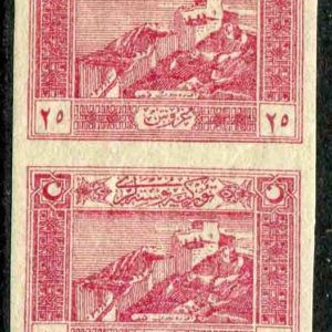 1922 Turkey 25k Adana Castle MLH Imperf Pair