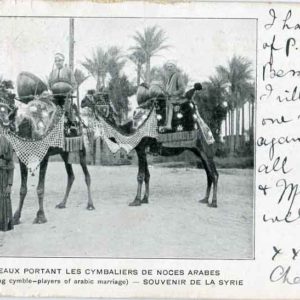 1907 Syria Camel Arabic Marriage Postcard