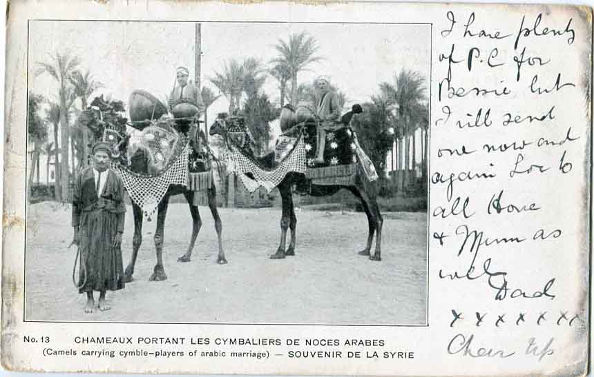 1907 Syria Camel Arabic Marriage Postcard
