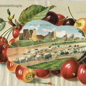 1918 Turkey Constantinople Embossed Postcard