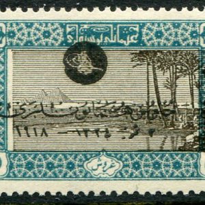 1919 Turkey Sultan Accession 5pi MISPLACED CENTRE