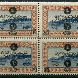 1919 Turkey Sultan Accession 60pa/2pi DATE ERROR