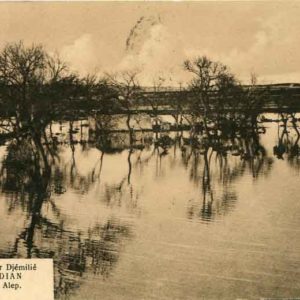 1925 Syria Djemilie Gardens Army Post 615 Card