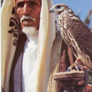 1984 Bahrain Falcon Postcard to Sweden