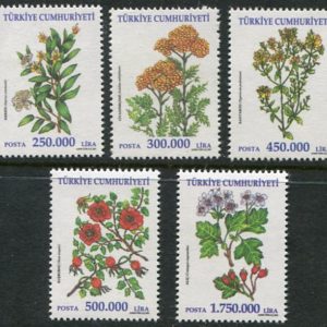 2001 Turkey Herbs Flowers **