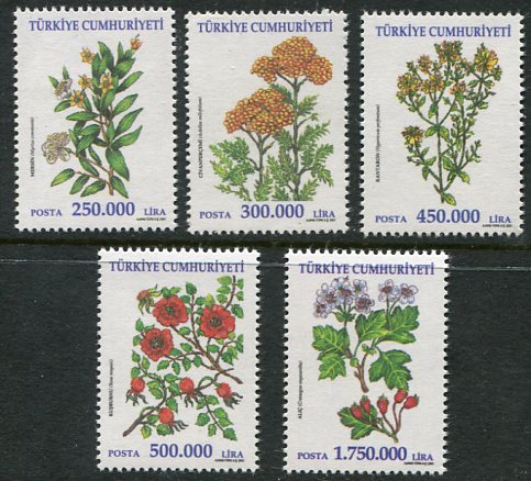 2001 Turkey Herbs Flowers **