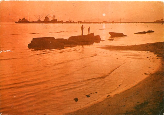 1972 Albania Vlore Postcard Bus Transport - Image 2