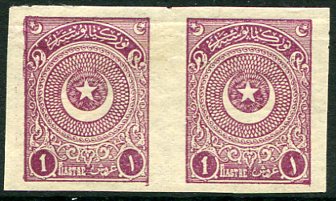 1923 Turkey Star&Crescent 1pi Imperf Pair