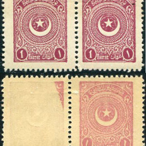 1924 Turkey Star&Crescent 1pi Error
