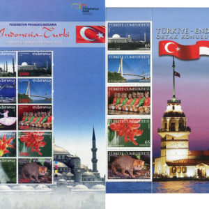 2008 Turkey Indonesia Joint Blocks **