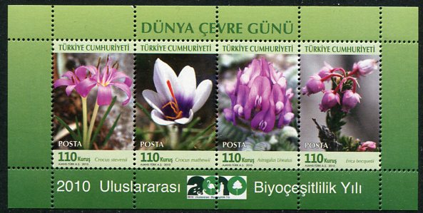 2010 Turkey Environment Flowers Block **