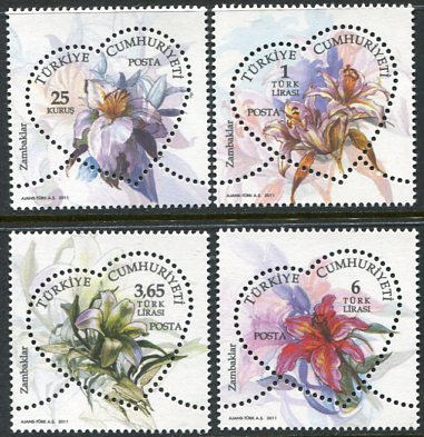 2011 Turkey Lilies Definitive **