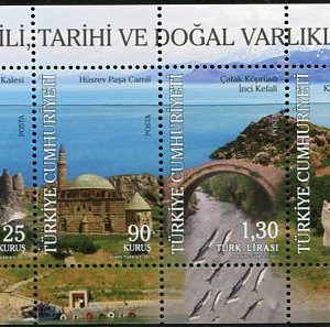 2011 Turkey Van History Block **