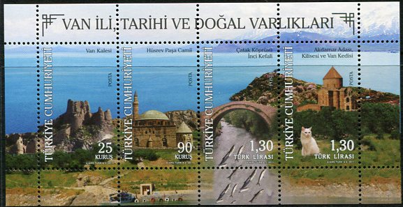 2011 Turkey Van History Block **
