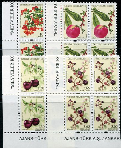 2011 Turkey Fruit Definitive B4 Set **