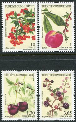 2011 Turkey Fruit Definitive Set **