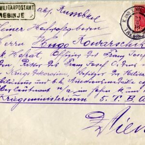 1918 Bosnia Trebinje to Vienna Cover