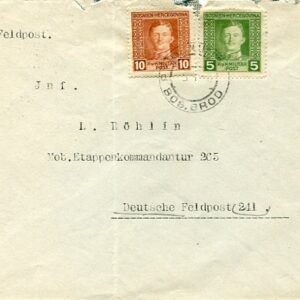 1918 Bosnia Novi Grad Cover to German FPO 241