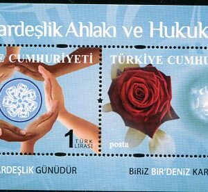 2012 Turkey Brotherhood Block