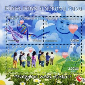 2013 Turkey Down Syndrome Block