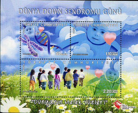 2013 Turkey Down Syndrome Block