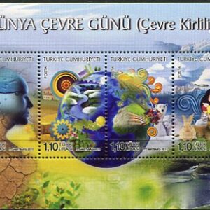 2013 Turkey Environment Pollution Block