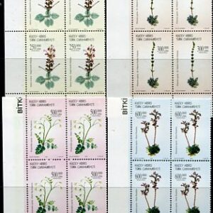 2004 Turkish Cyprus Plants B4