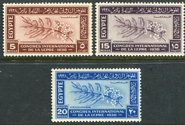 1938 Egypt Leprosy Congress NHM