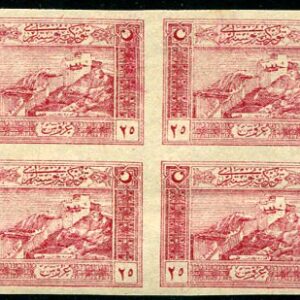 1922 Turkey 25k Adana Castle Imperf NHM B4
