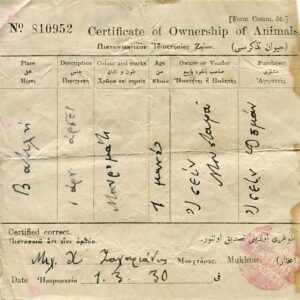 Cyprus VATILI Mukhtar Doc