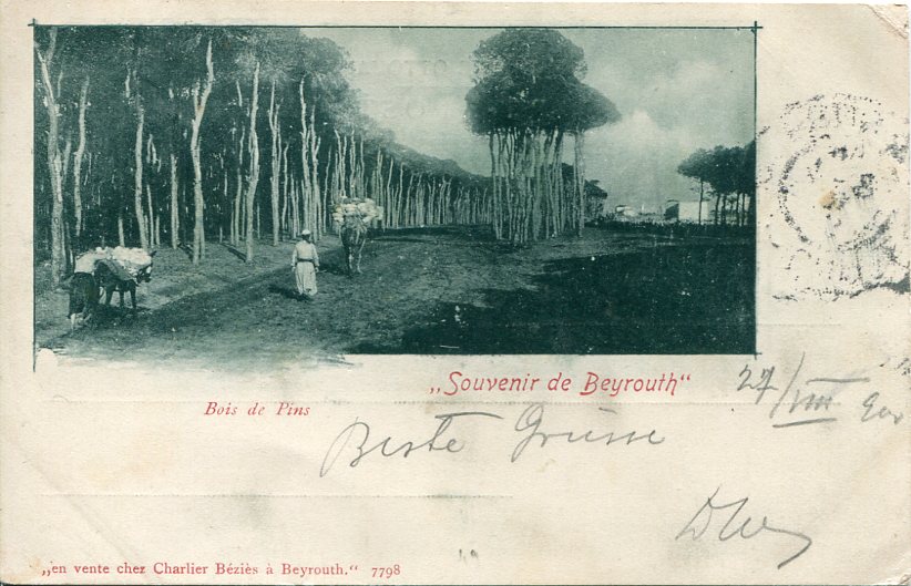 1903 Austrian Levant Beirut Postcard to Brno