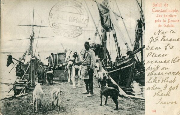 1903 Turkey Dardanelles Istanbul Postcard