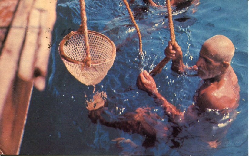 1982 Bahrain Pearl Diver Postcard