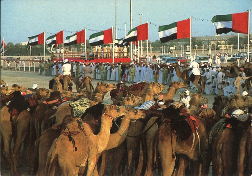 1985 UAE Flag and Camel Postcard to Diss