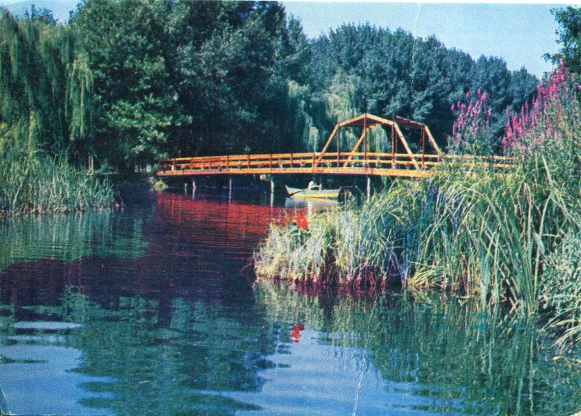 1984 Albania Drilon Pogradec Postcard - Image 2