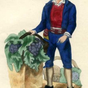 Broccoli Merchant Rome Italy 1844 Gravure