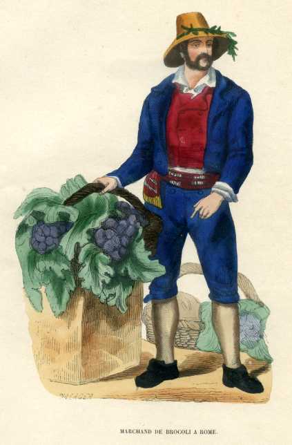 Broccoli Merchant Rome Italy 1844 Gravure