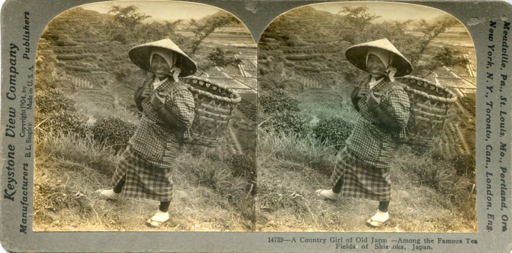 Japan Shizuoka Stereoview