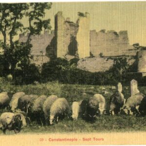 Turkey Istanbul Silk Postcard Bon Marche #59