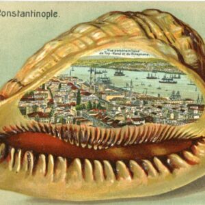 Turkey Istanbul unused Embossed Postcard