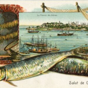 Turkey Istanbul Palace in Embossed Fish