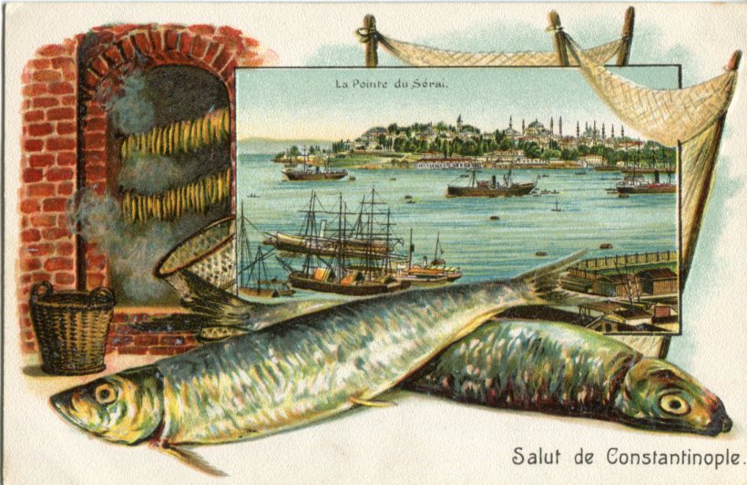 Turkey Istanbul Palace in Embossed Fish