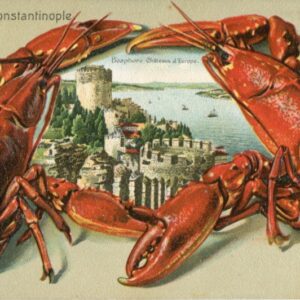 Turkey Istanbul Rumelihisar in Embossed Lobster