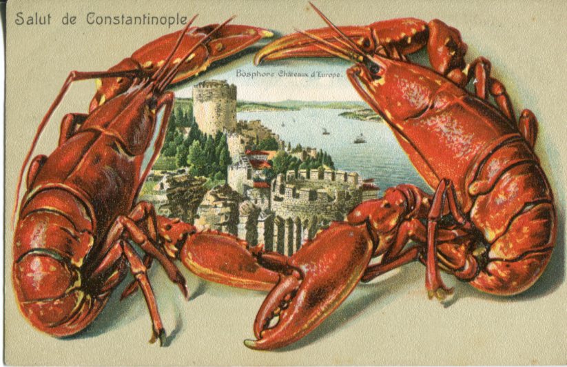 Turkey Istanbul Rumelihisar in Embossed Lobster