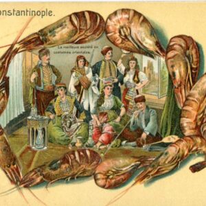 Turkey Istanbul Costumes in Embossed Prawn