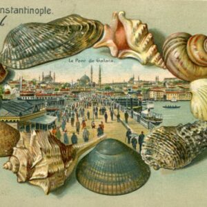 Turkey Istanbul Galata Bridge in Embossed Shells 1906