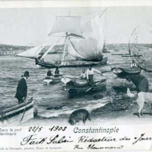 1901s Turkey Istanbul Boats and Dogs